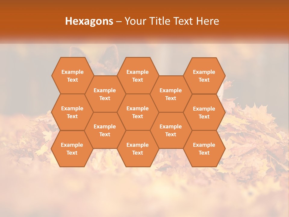 Dogs Play In Writing PowerPoint Template