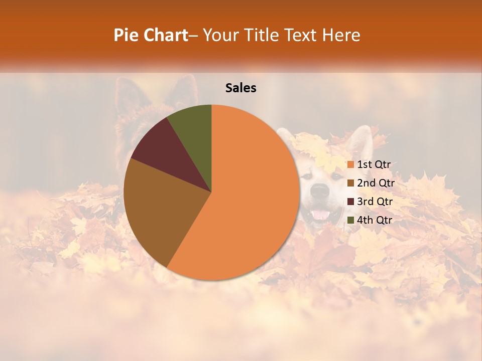 Dogs Play In Writing PowerPoint Template