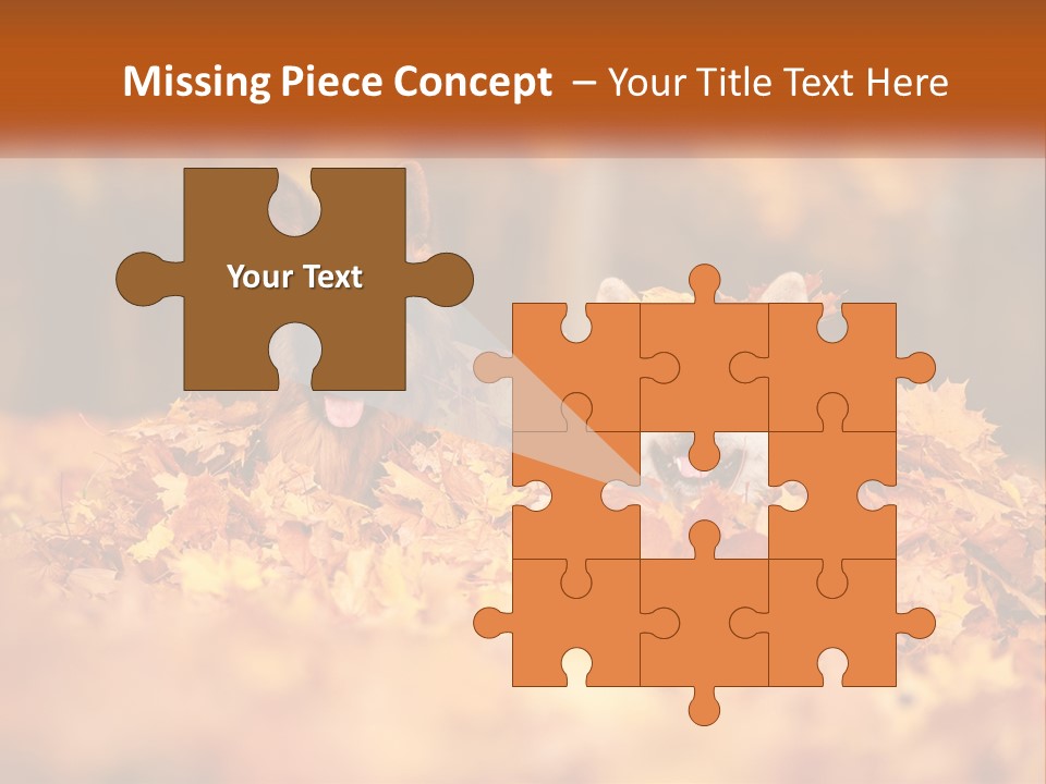 Dogs Play In Writing PowerPoint Template