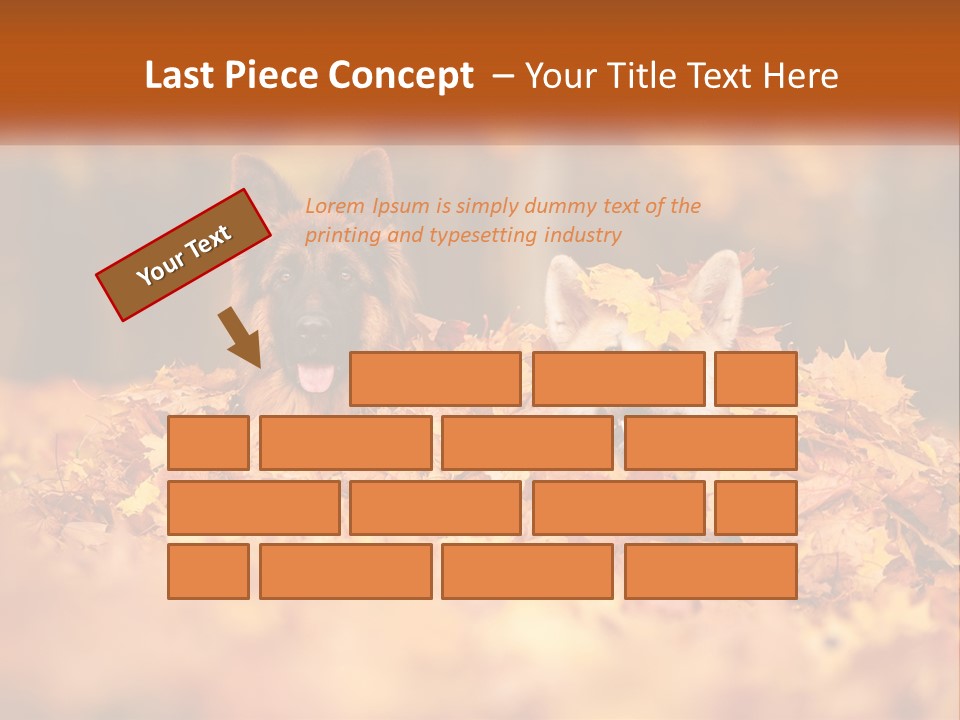Dogs Play In Writing PowerPoint Template