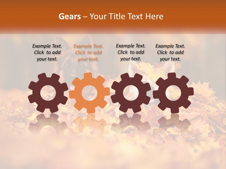 Dogs Play In Writing PowerPoint Template