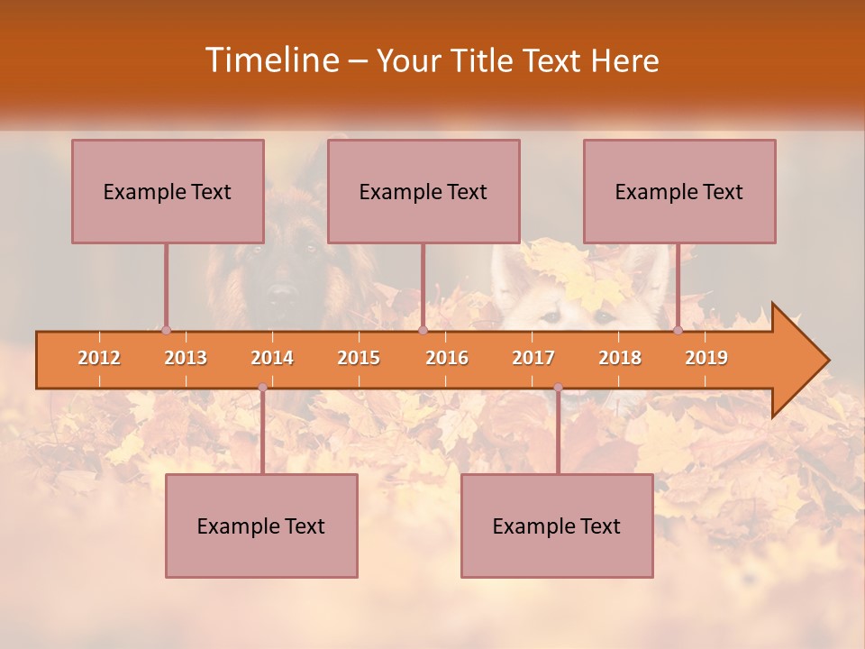 Dogs Play In Writing PowerPoint Template