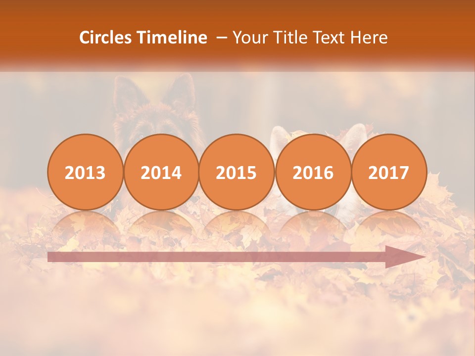 Dogs Play In Writing PowerPoint Template