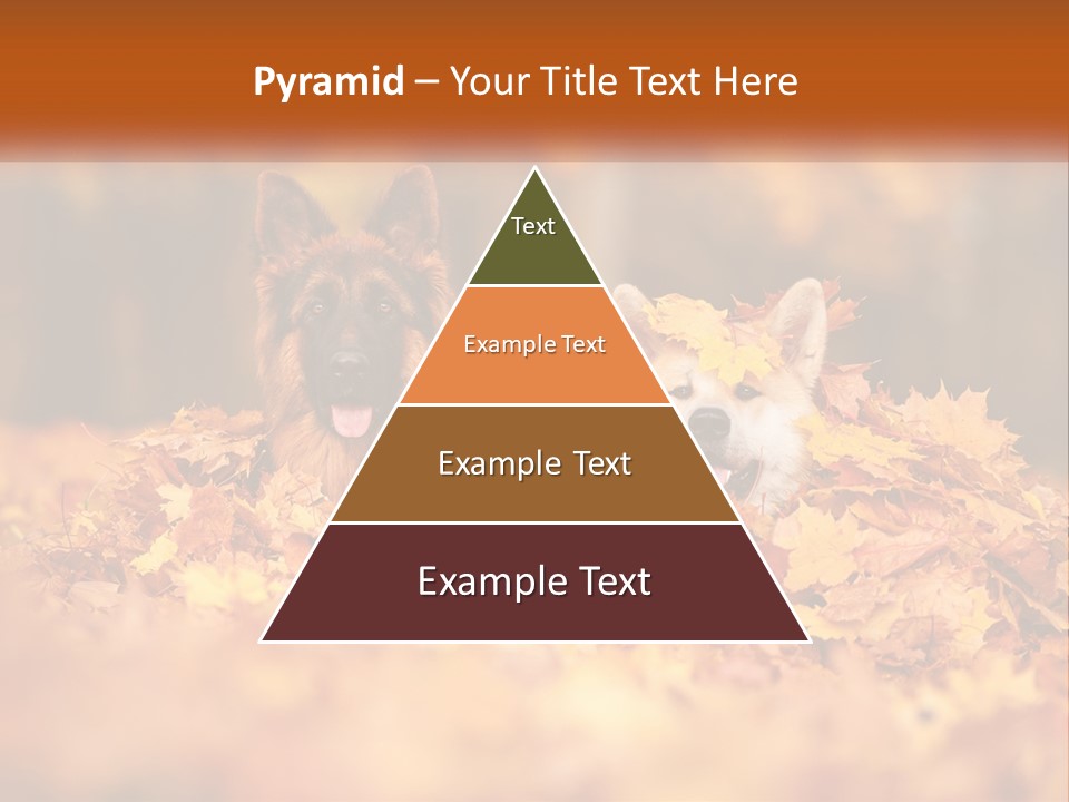 Dogs Play In Writing PowerPoint Template