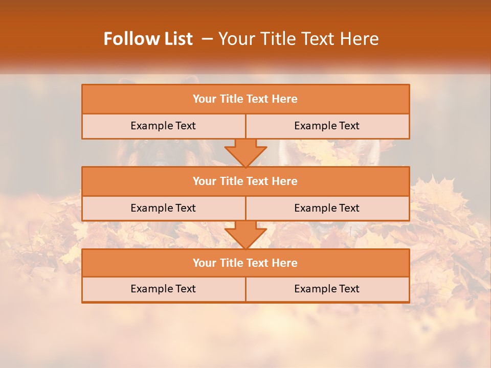 Dogs Play In Writing PowerPoint Template