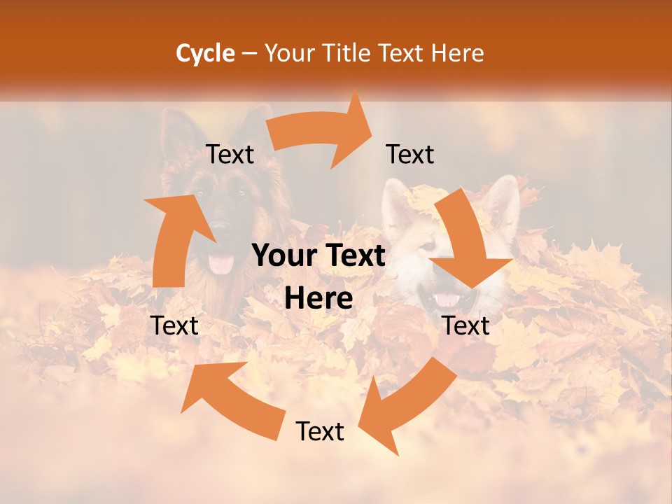 Dogs Play In Writing PowerPoint Template
