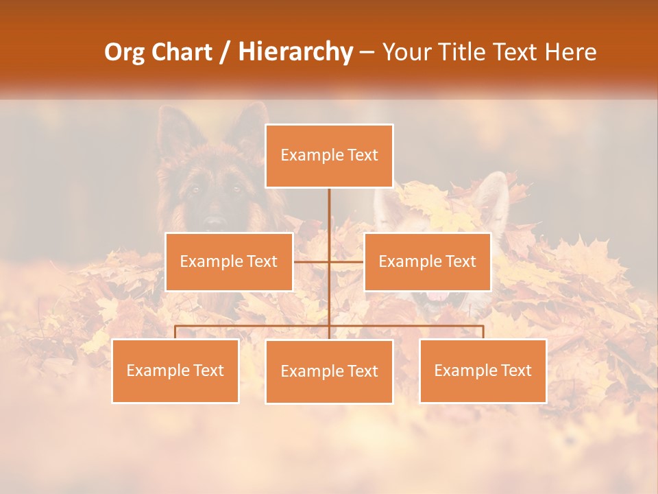 Dogs Play In Writing PowerPoint Template