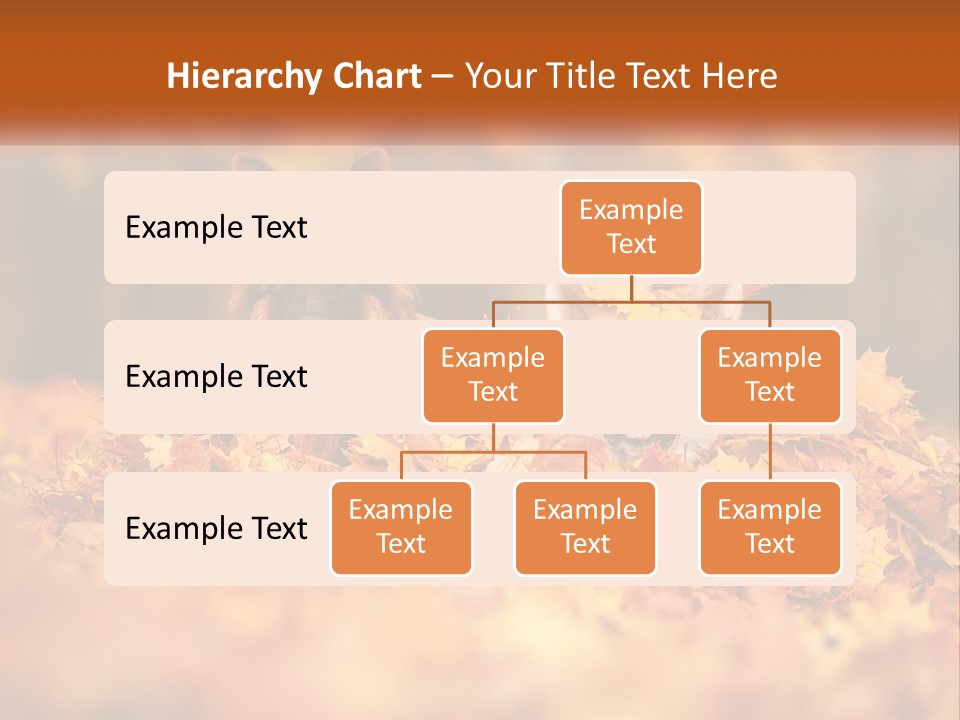 Dogs Play In Writing PowerPoint Template
