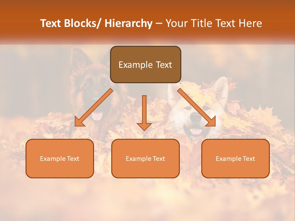 Dogs Play In Writing PowerPoint Template