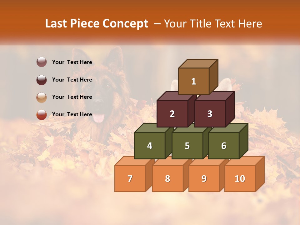 Dogs Play In Writing PowerPoint Template