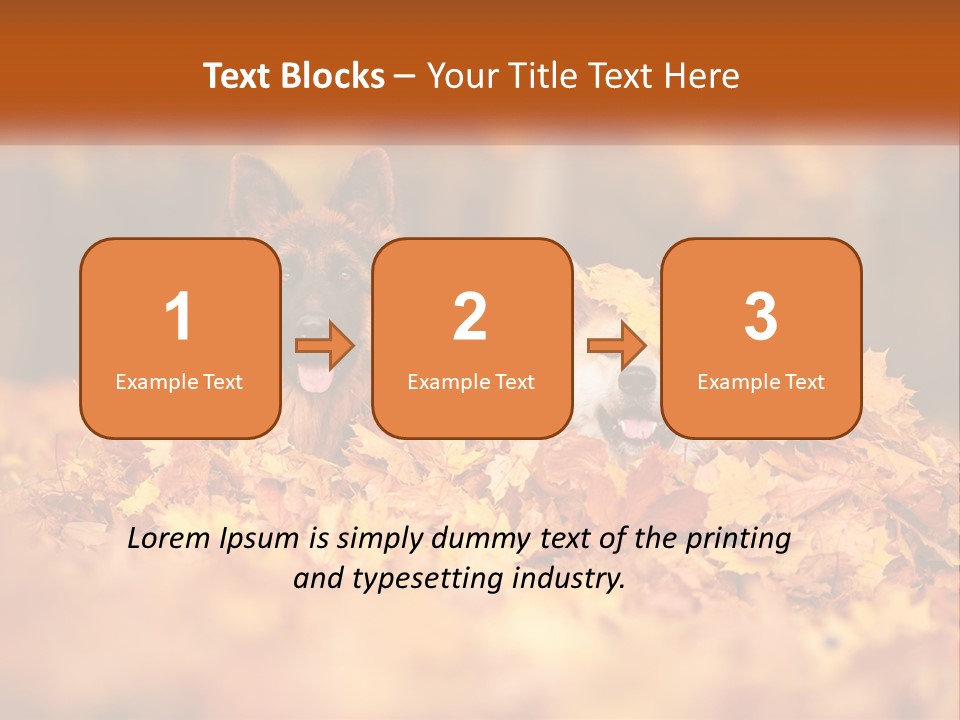 Dogs Play In Writing PowerPoint Template