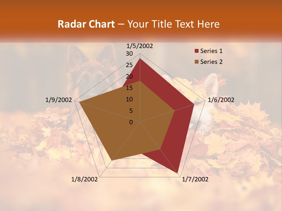 Dogs Play In Writing PowerPoint Template
