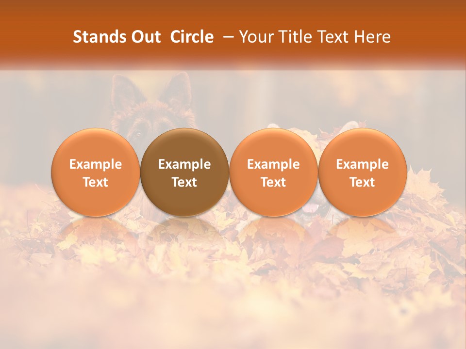 Dogs Play In Writing PowerPoint Template