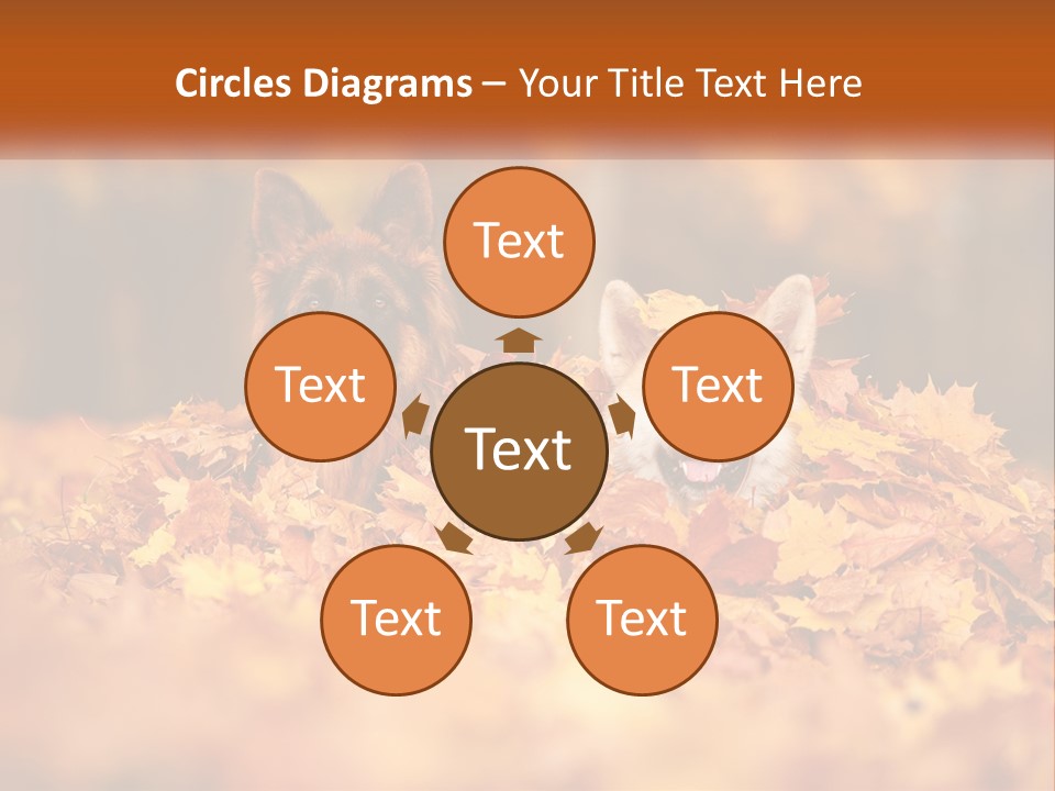 Dogs Play In Writing PowerPoint Template