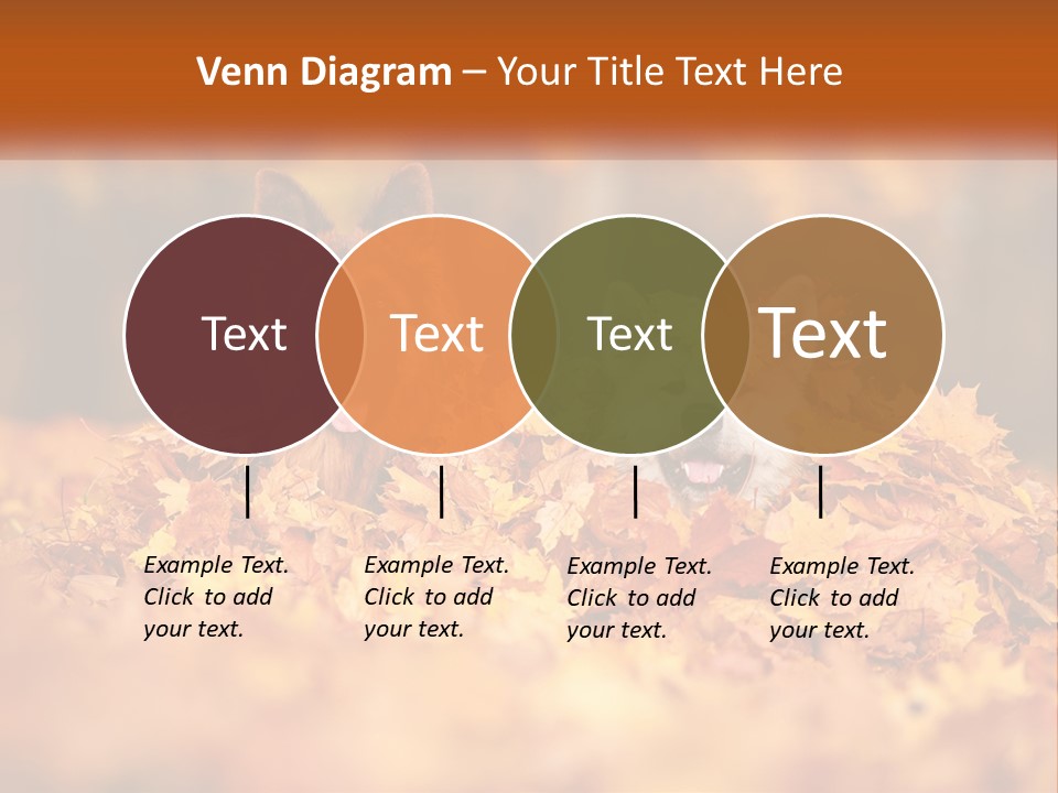 Dogs Play In Writing PowerPoint Template