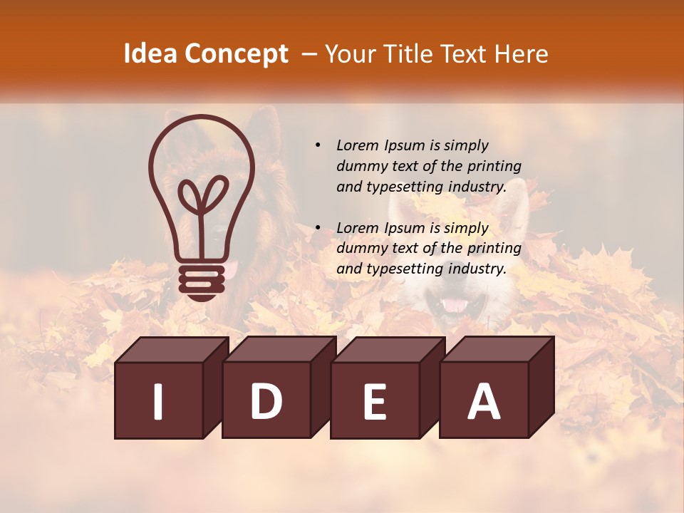 Dogs Play In Writing PowerPoint Template