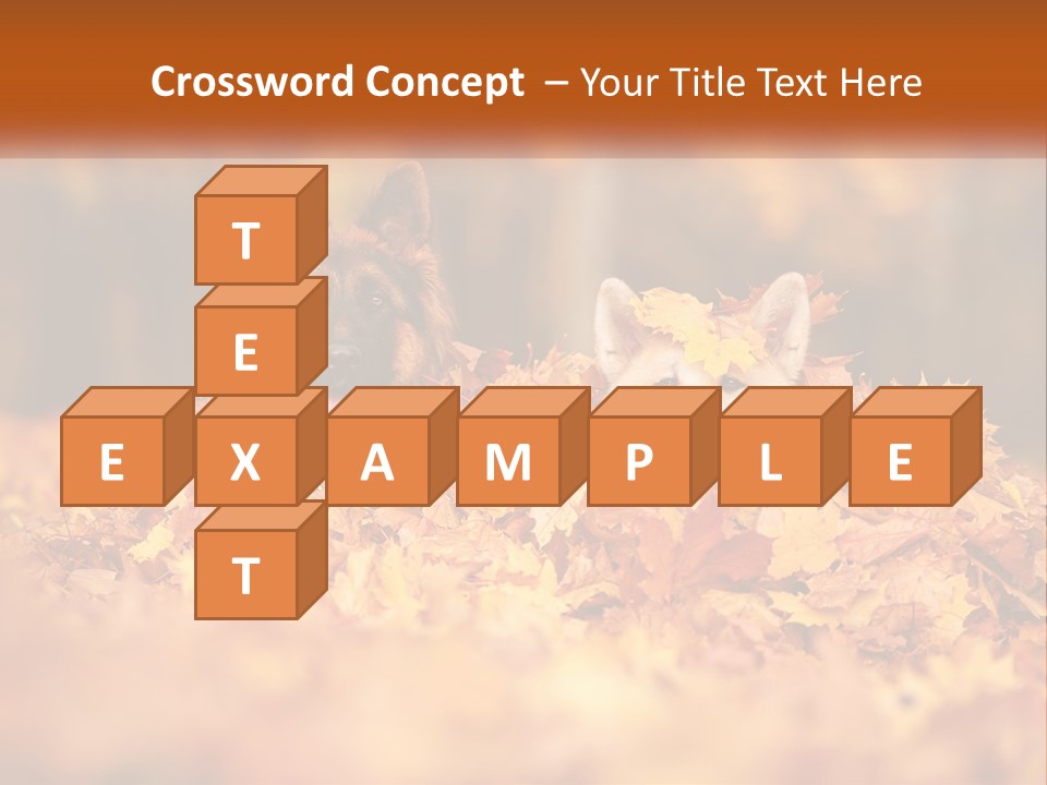 Dogs Play In Writing PowerPoint Template