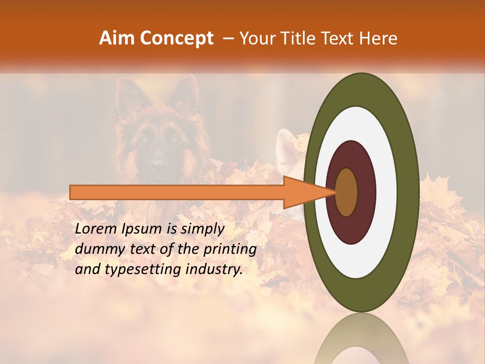 Dogs Play In Writing PowerPoint Template