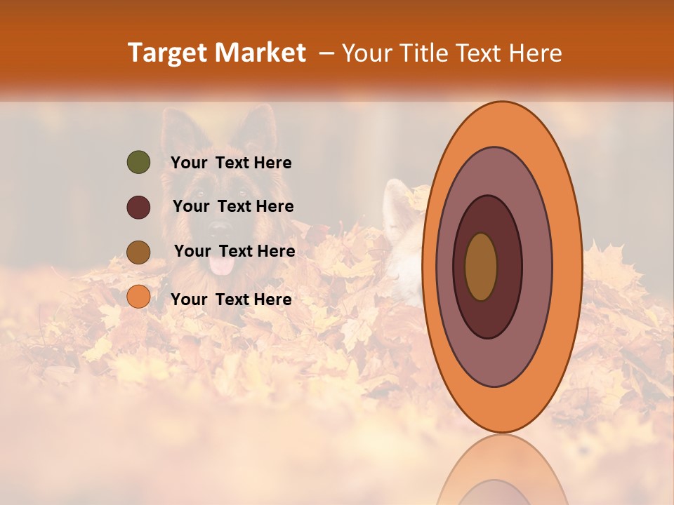 Dogs Play In Writing PowerPoint Template