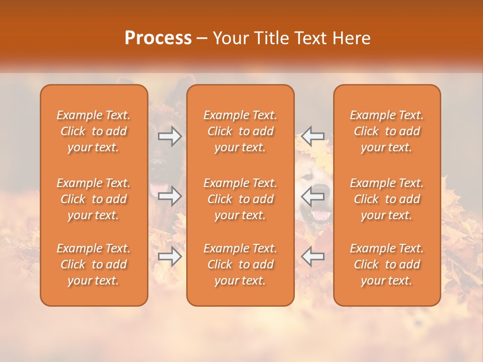 Dogs Play In Writing PowerPoint Template