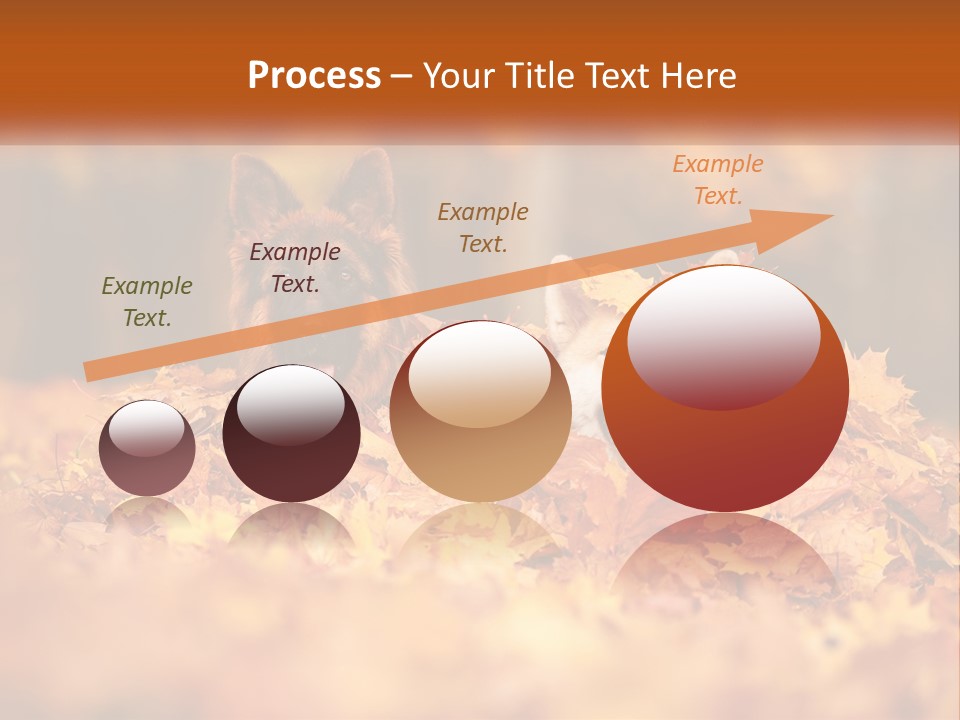 Dogs Play In Writing PowerPoint Template