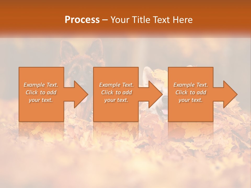Dogs Play In Writing PowerPoint Template