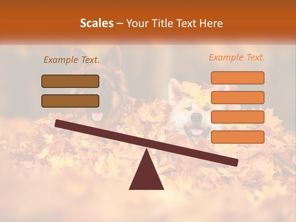 Dogs Play In Writing PowerPoint Template