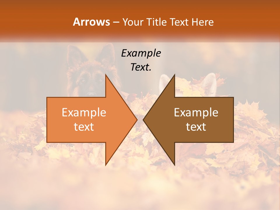 Dogs Play In Writing PowerPoint Template