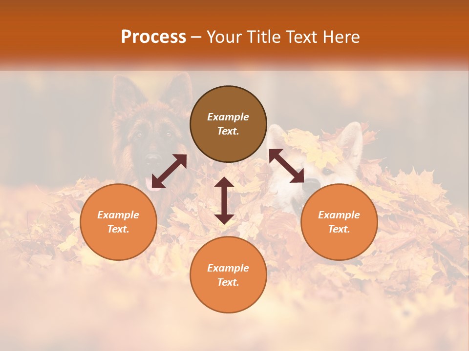 Dogs Play In Writing PowerPoint Template