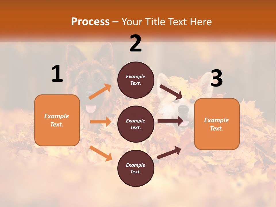 Dogs Play In Writing PowerPoint Template