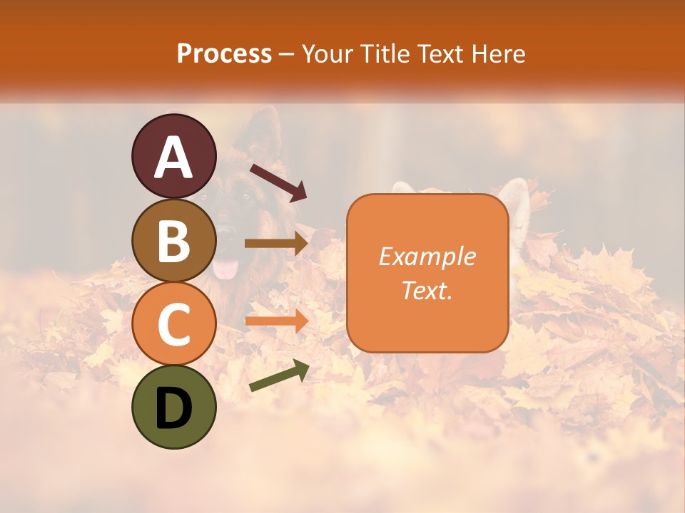 Dogs Play In Writing PowerPoint Template