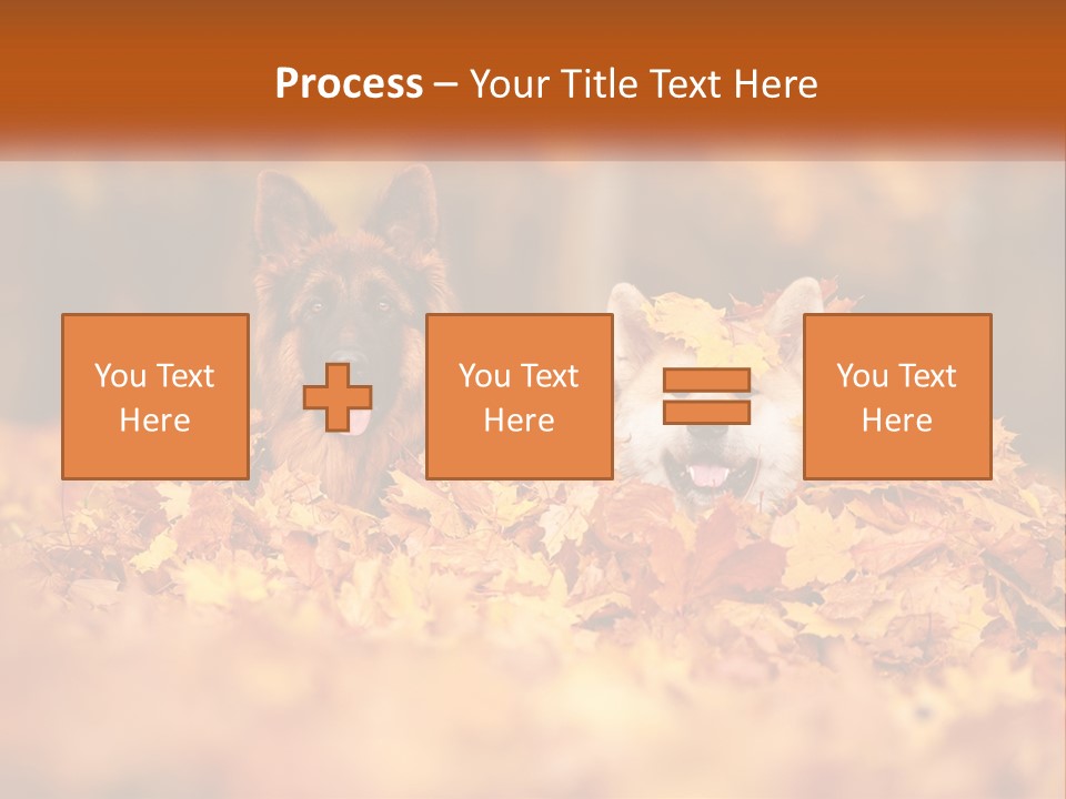 Dogs Play In Writing PowerPoint Template