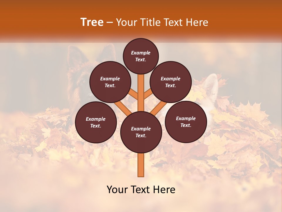 Dogs Play In Writing PowerPoint Template