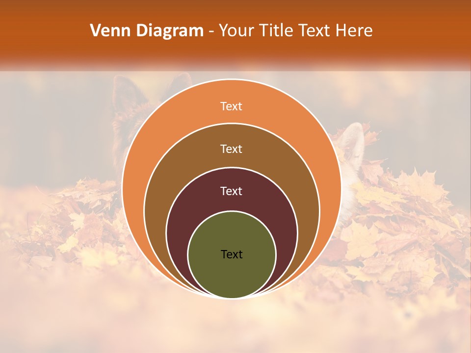 Dogs Play In Writing PowerPoint Template