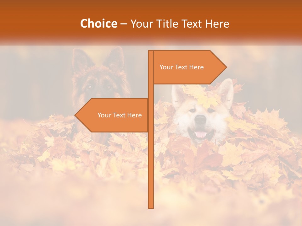 Dogs Play In Writing PowerPoint Template