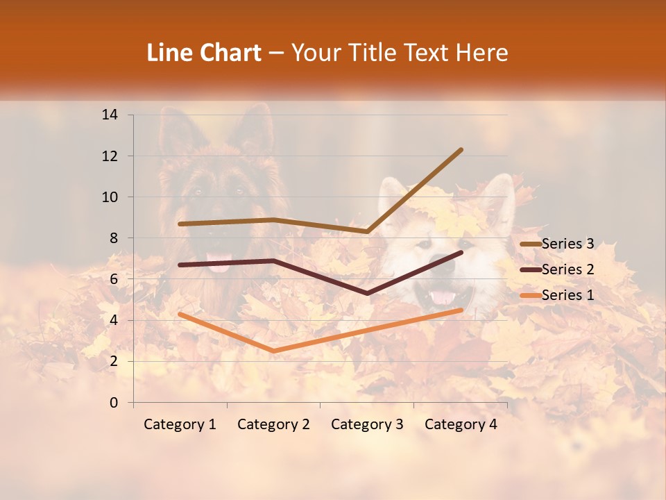 Dogs Play In Writing PowerPoint Template