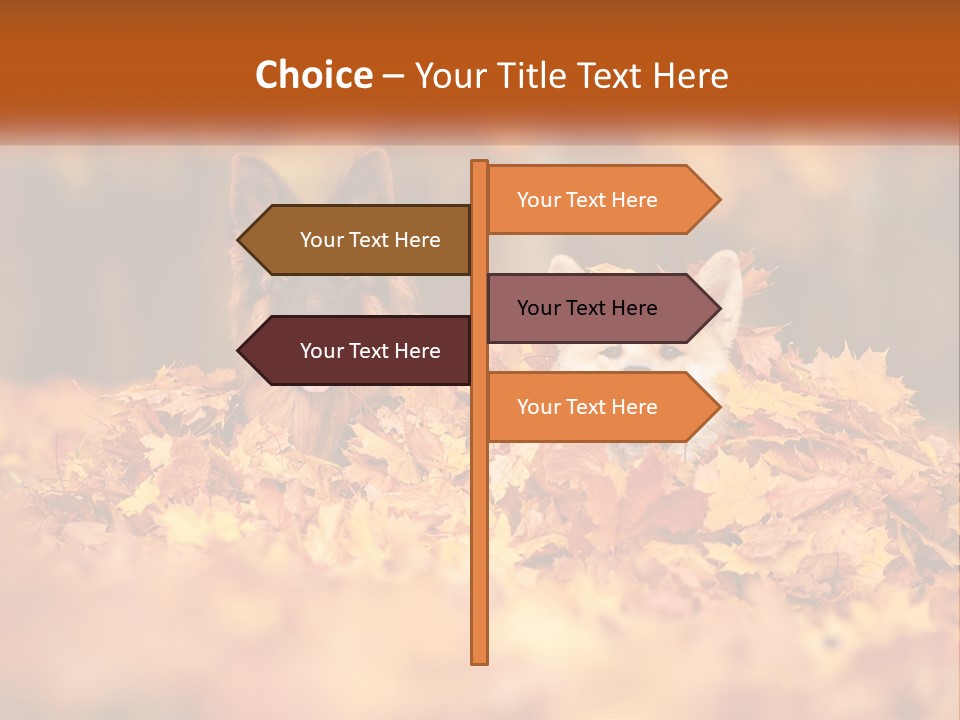 Dogs Play In Writing PowerPoint Template