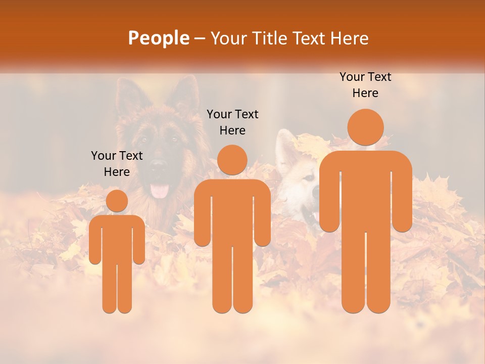 Dogs Play In Writing PowerPoint Template