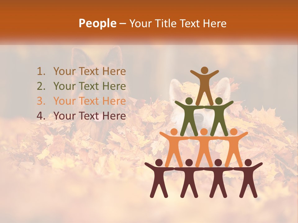 Dogs Play In Writing PowerPoint Template