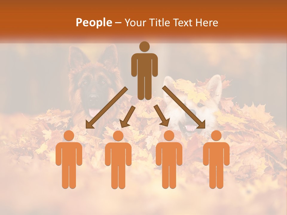 Dogs Play In Writing PowerPoint Template