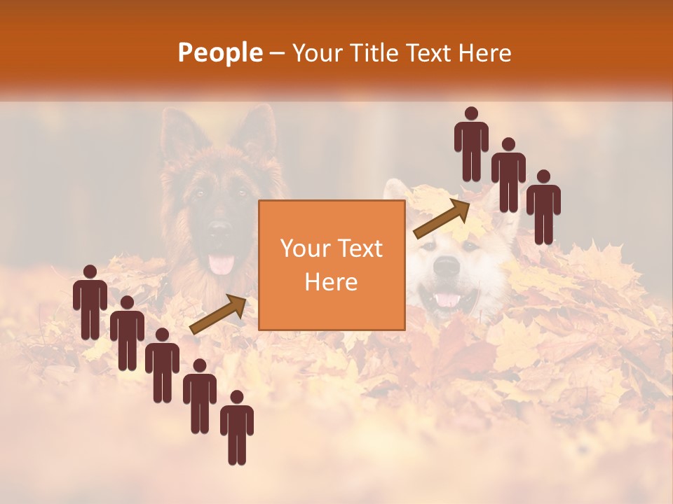 Dogs Play In Writing PowerPoint Template