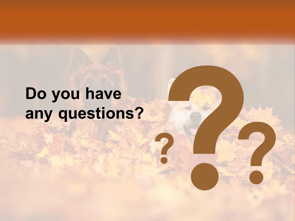 Dogs Play In Writing PowerPoint Template