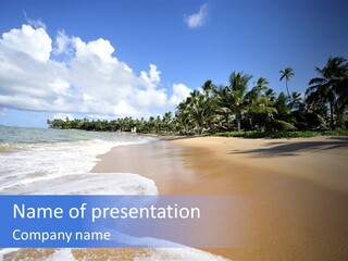 Sea Shore With Palm Trees PowerPoint Template