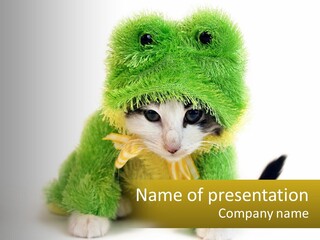 Cat In A Frog Costume PowerPoint Template