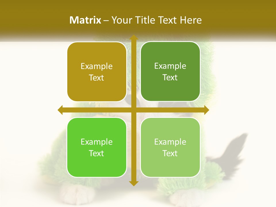 Cat In A Frog Costume PowerPoint Template