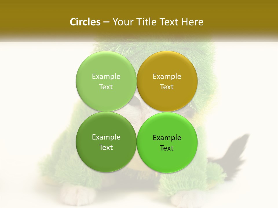 Cat In A Frog Costume PowerPoint Template