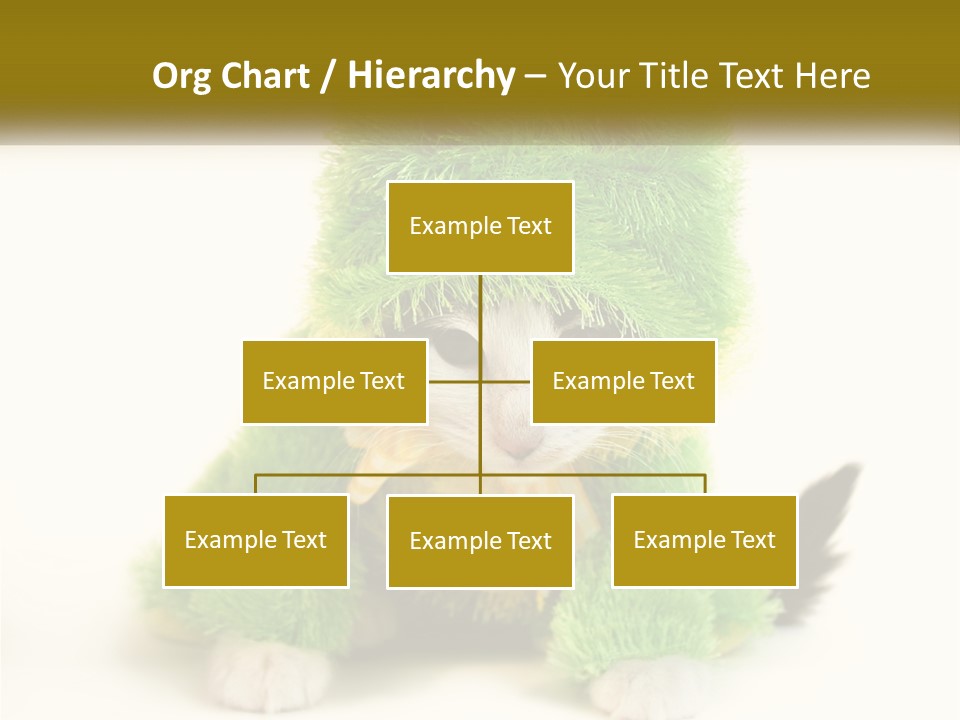 Cat In A Frog Costume PowerPoint Template