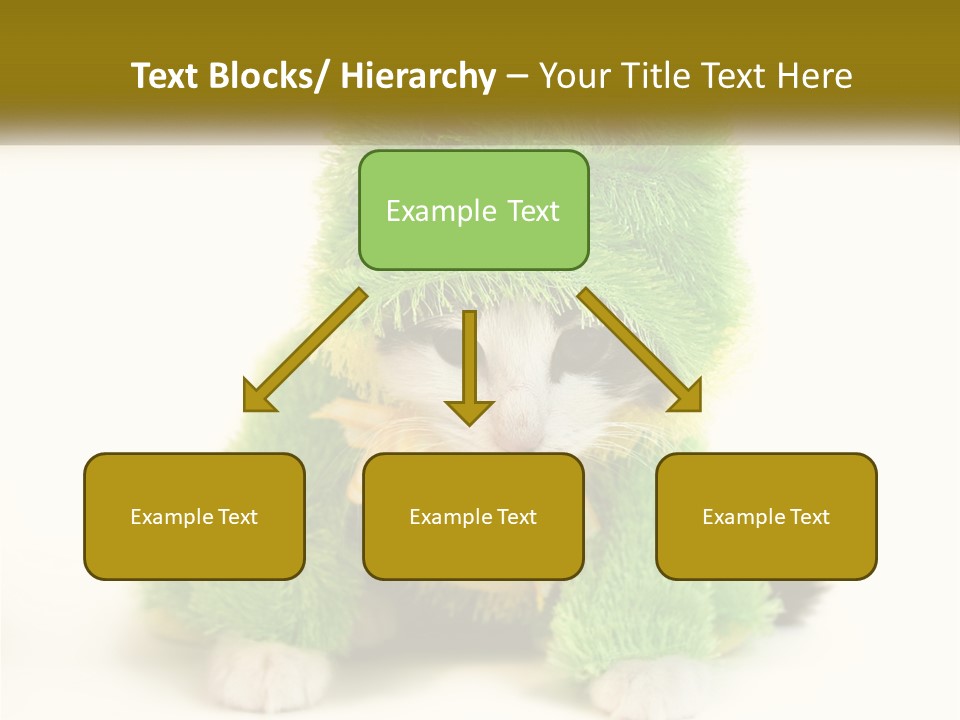 Cat In A Frog Costume PowerPoint Template