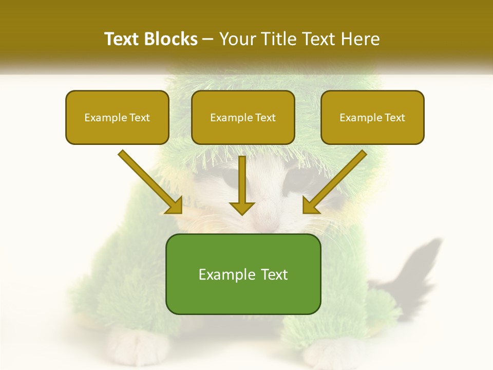 Cat In A Frog Costume PowerPoint Template