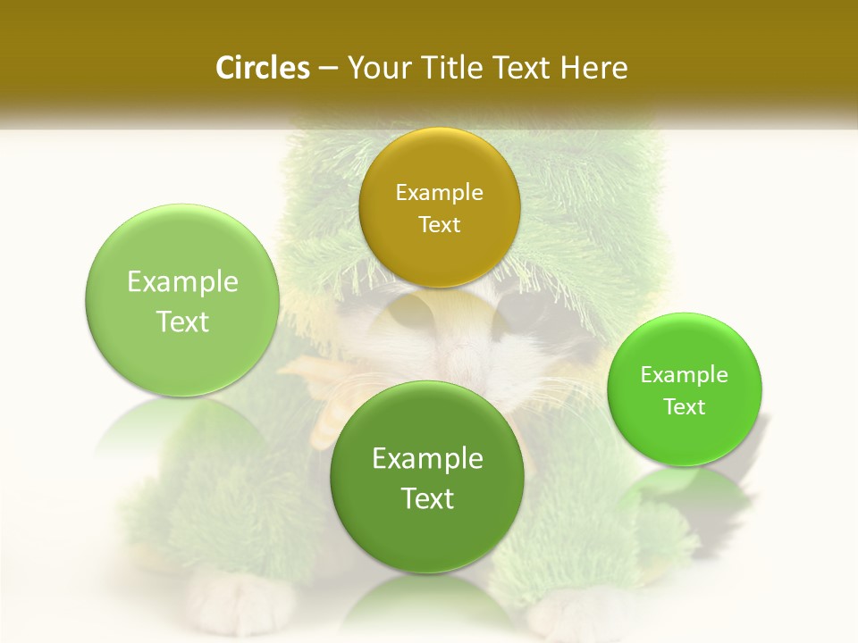 Cat In A Frog Costume PowerPoint Template